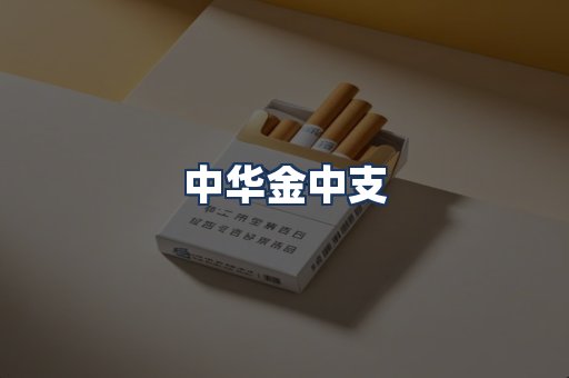 中华金中支